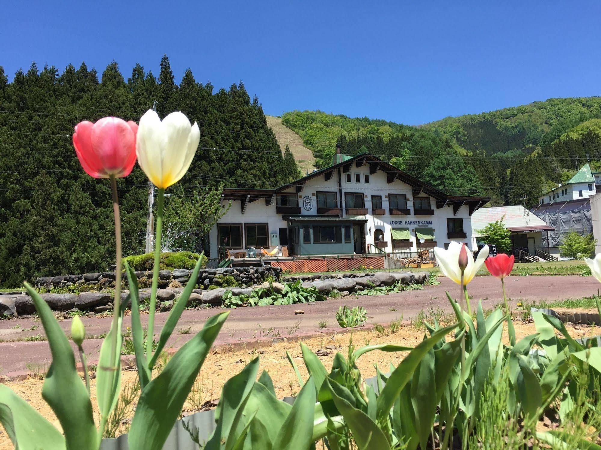 Lodge Hahnenkamm Nozawaonsen Exterior photo